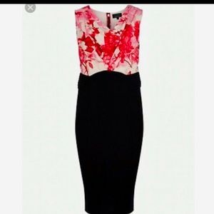 Ted Baker Office Sexy Bodycon Dress T2/Us6 - image 1